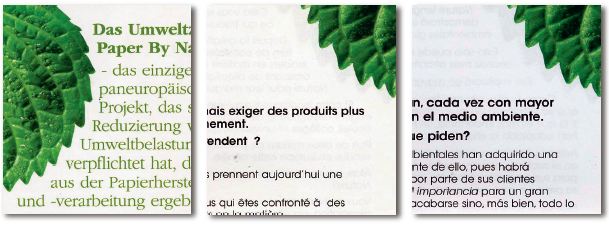 paperbynautre1
